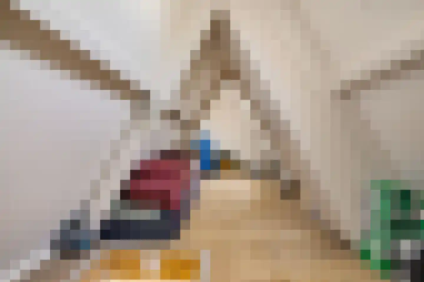 Sint Martensdyk 41 Scharnegoutum thumbnail 27