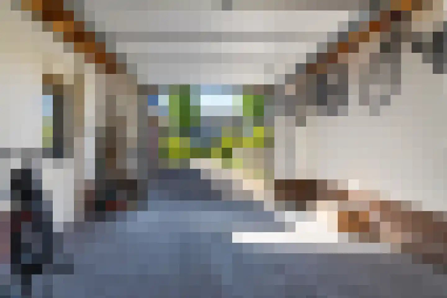 Sint Martensdyk 41 Scharnegoutum thumbnail 29