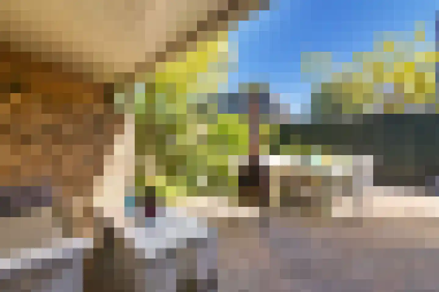 Sint Martensdyk 41 Scharnegoutum thumbnail 31