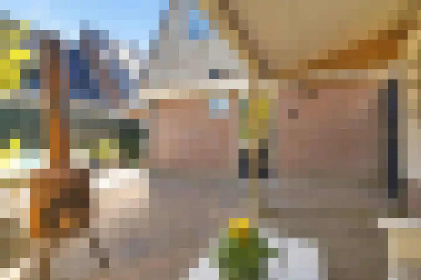 Sint Martensdyk 41 Scharnegoutum thumbnail 32
