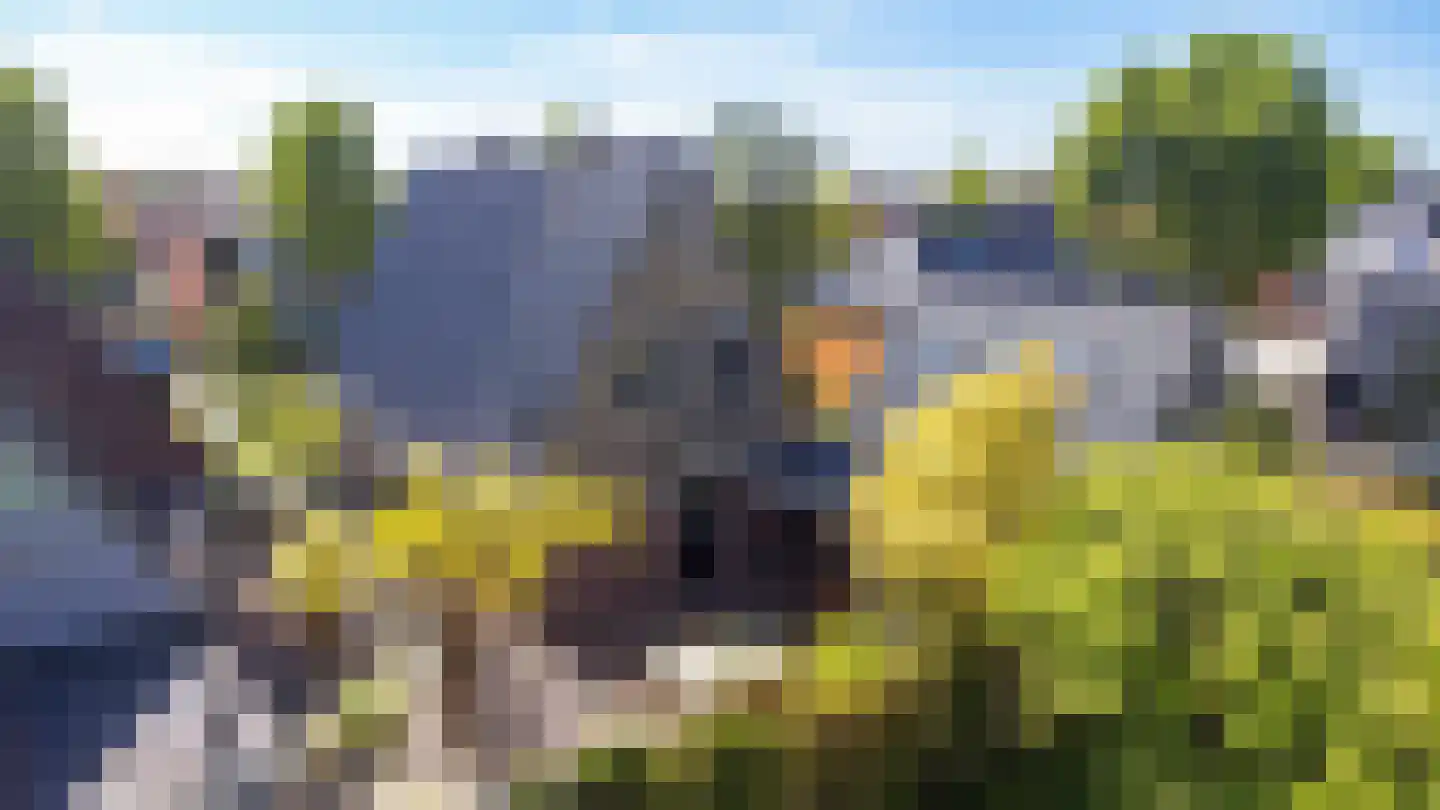 Sint Martensdyk 41 Scharnegoutum thumbnail 45