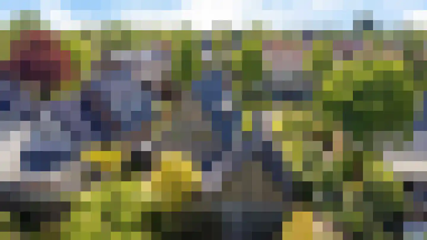 Sint Martensdyk 41 Scharnegoutum thumbnail 46