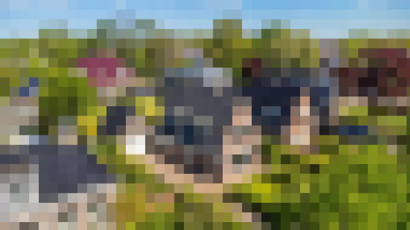 Sint Martensdyk 41 Scharnegoutum thumbnail 47