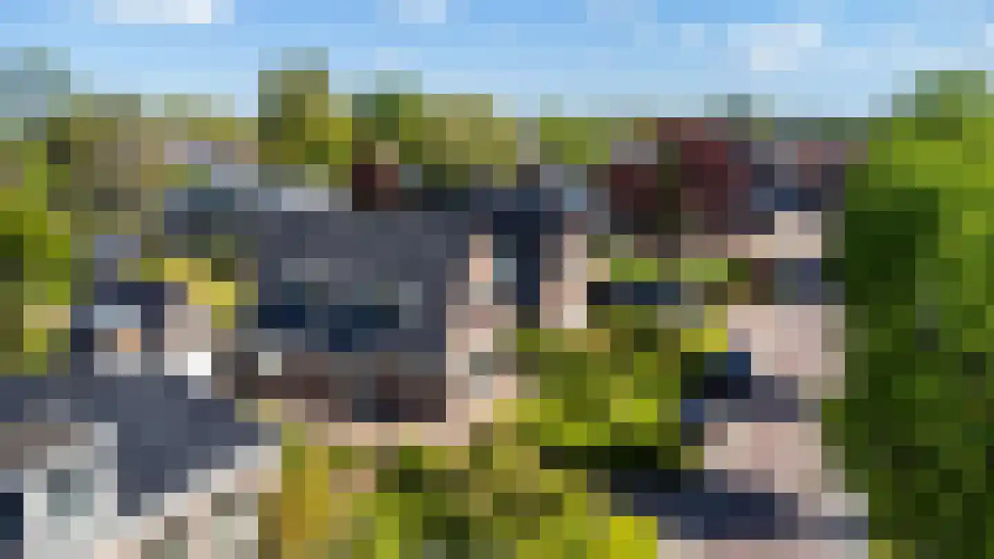 Sint Martensdyk 41 Scharnegoutum thumbnail 48
