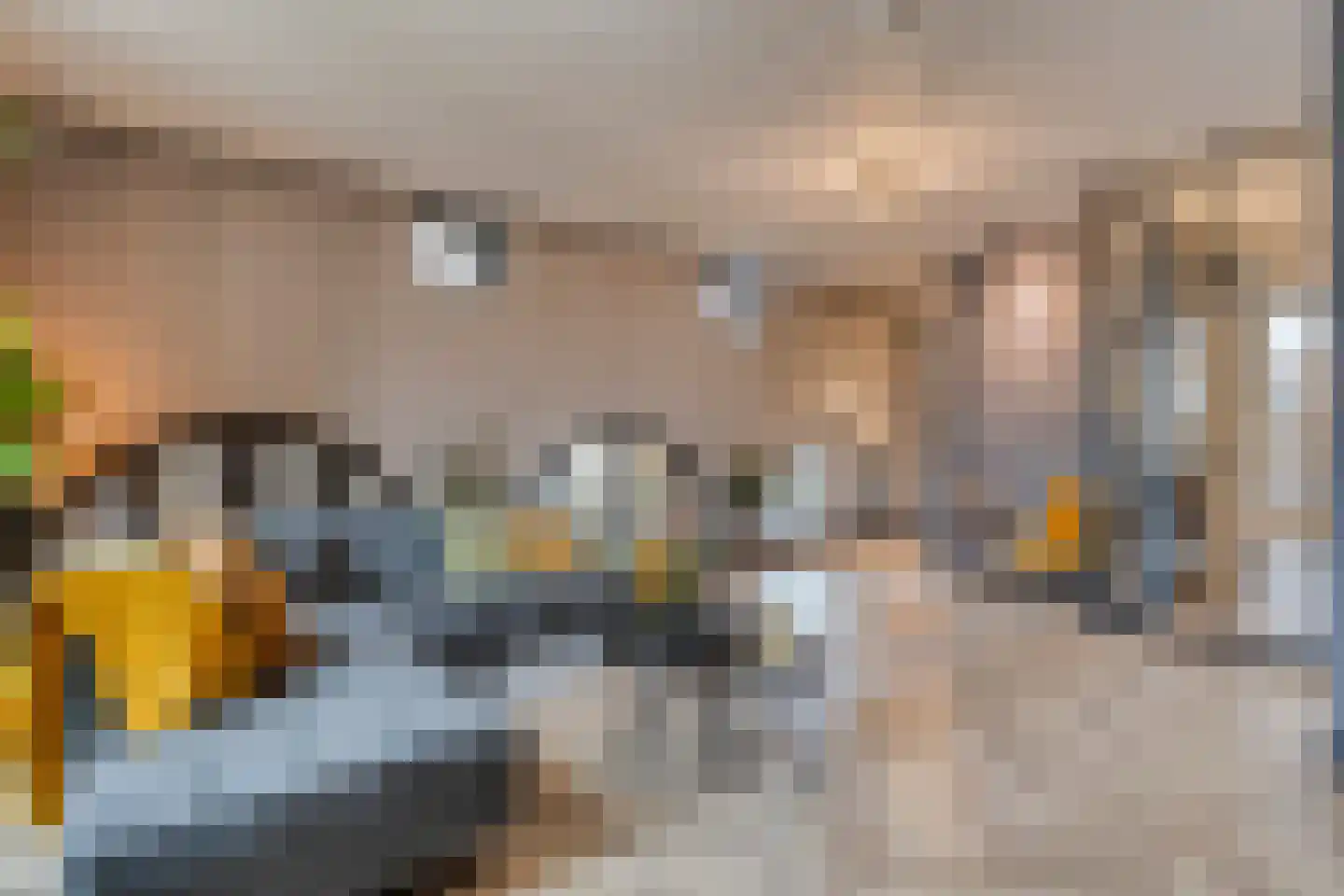 Sint Martinushof 2 Gendt thumbnail 14
