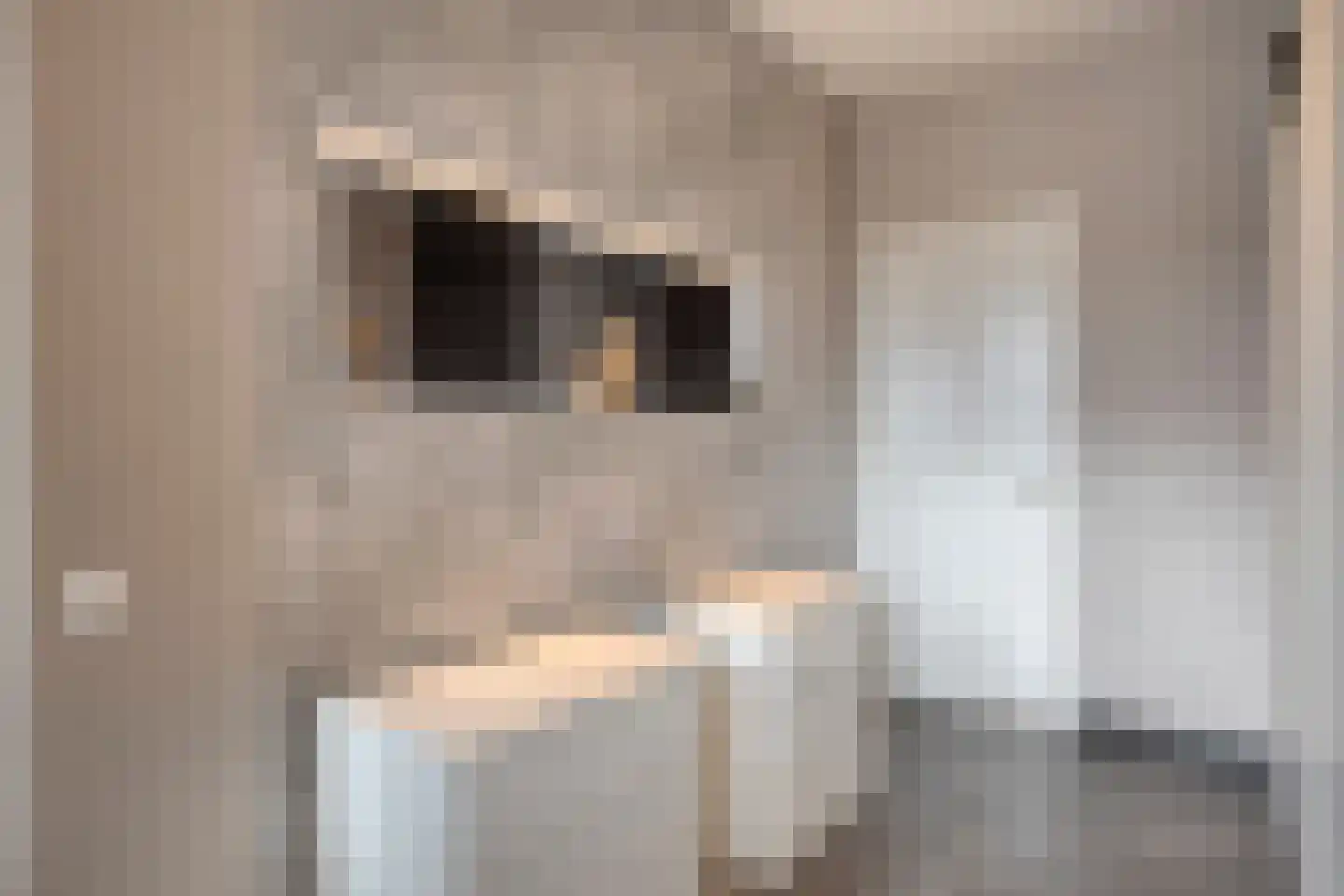 Sint Martinushof 2 Gendt thumbnail 31