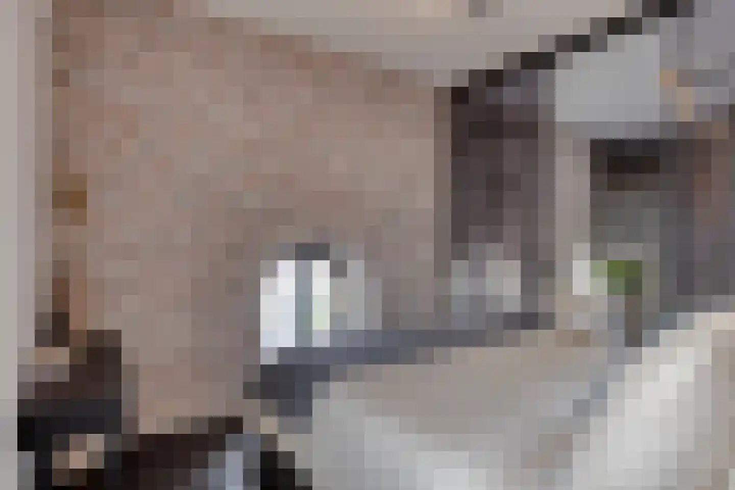 Sint Martinushof 2 Gendt thumbnail 33