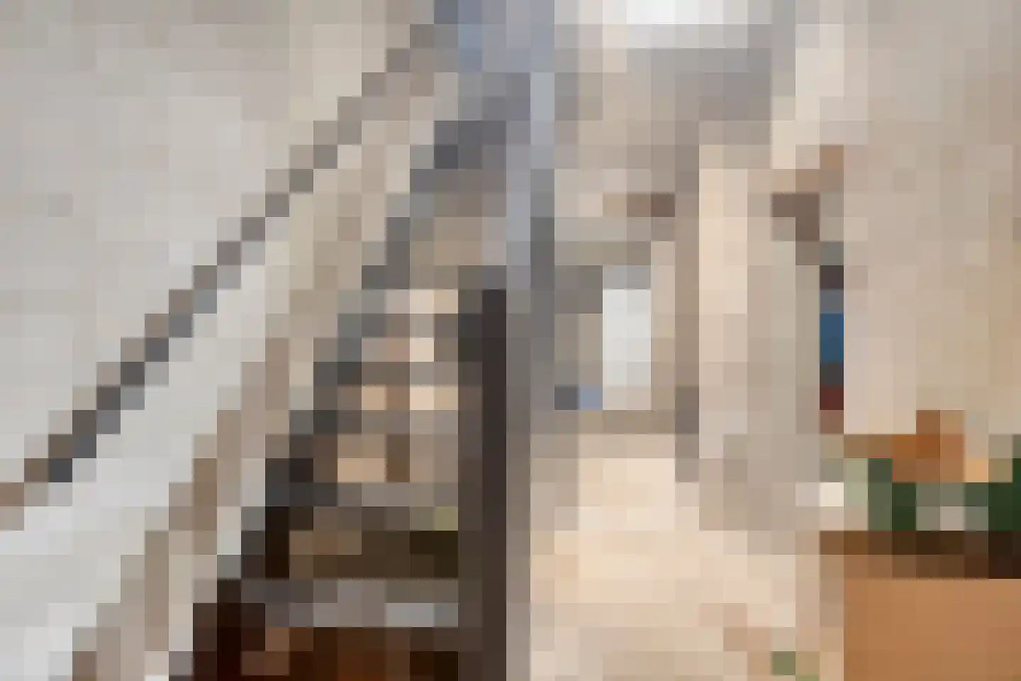 Sint Martinushof 2 Gendt thumbnail 46