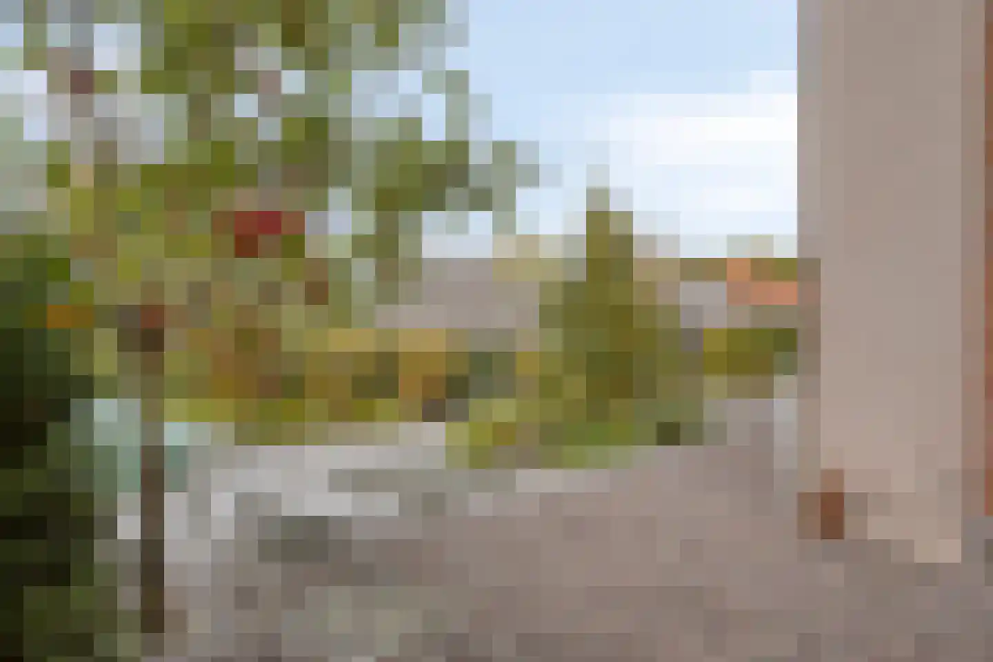 Sint Martinushof 2 Gendt thumbnail 53