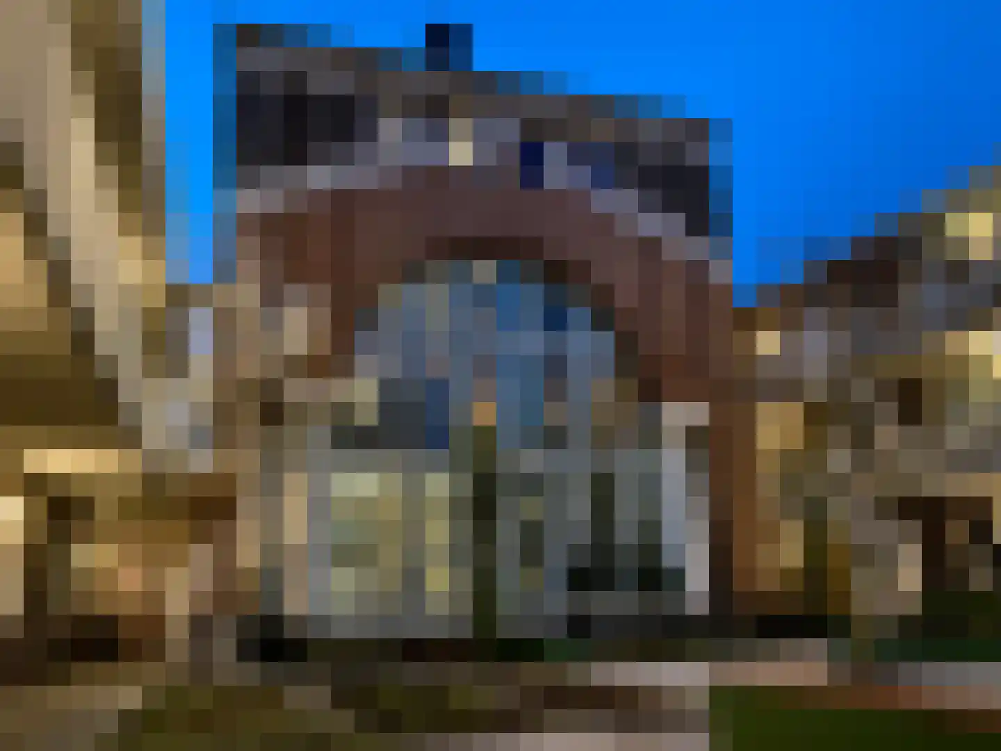 Sint Martinushof 2 Gendt thumbnail 65