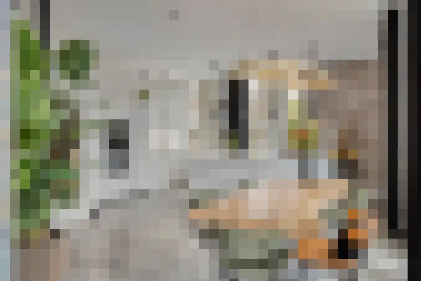 Sint Martinushof 2 Gendt thumbnail 7
