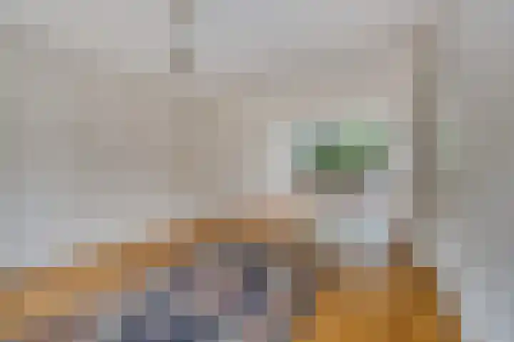Sint Martinuslaan 1 Voorburg thumbnail 10