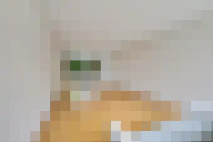 Sint Martinuslaan 1 Voorburg thumbnail 11