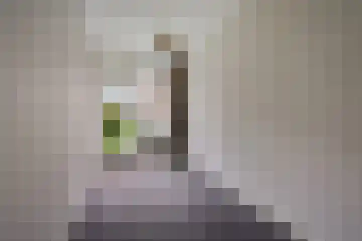 Sint Martinuslaan 1 Voorburg thumbnail 16