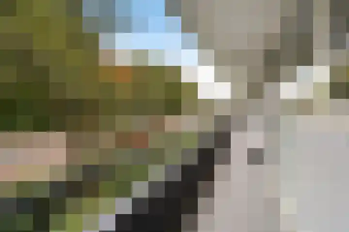 Sint Martinuslaan 1 Voorburg thumbnail 7