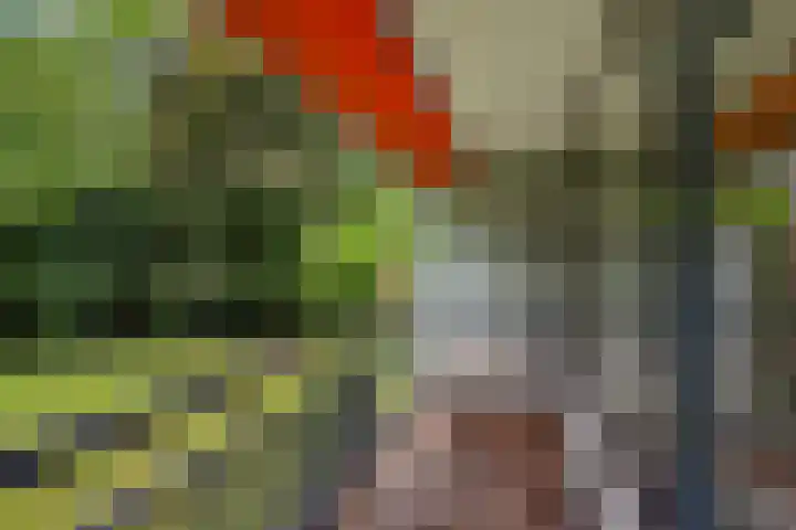 Sint Martinuslaan 106 Voorburg thumbnail 14