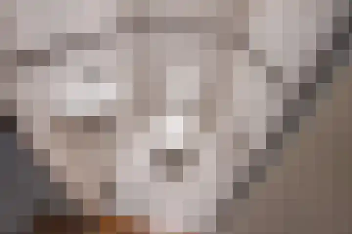 Sint Martinuslaan 106 Voorburg thumbnail 33