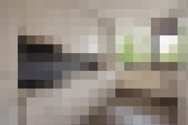Sint Martinuslaan 106 Voorburg thumbnail 5
