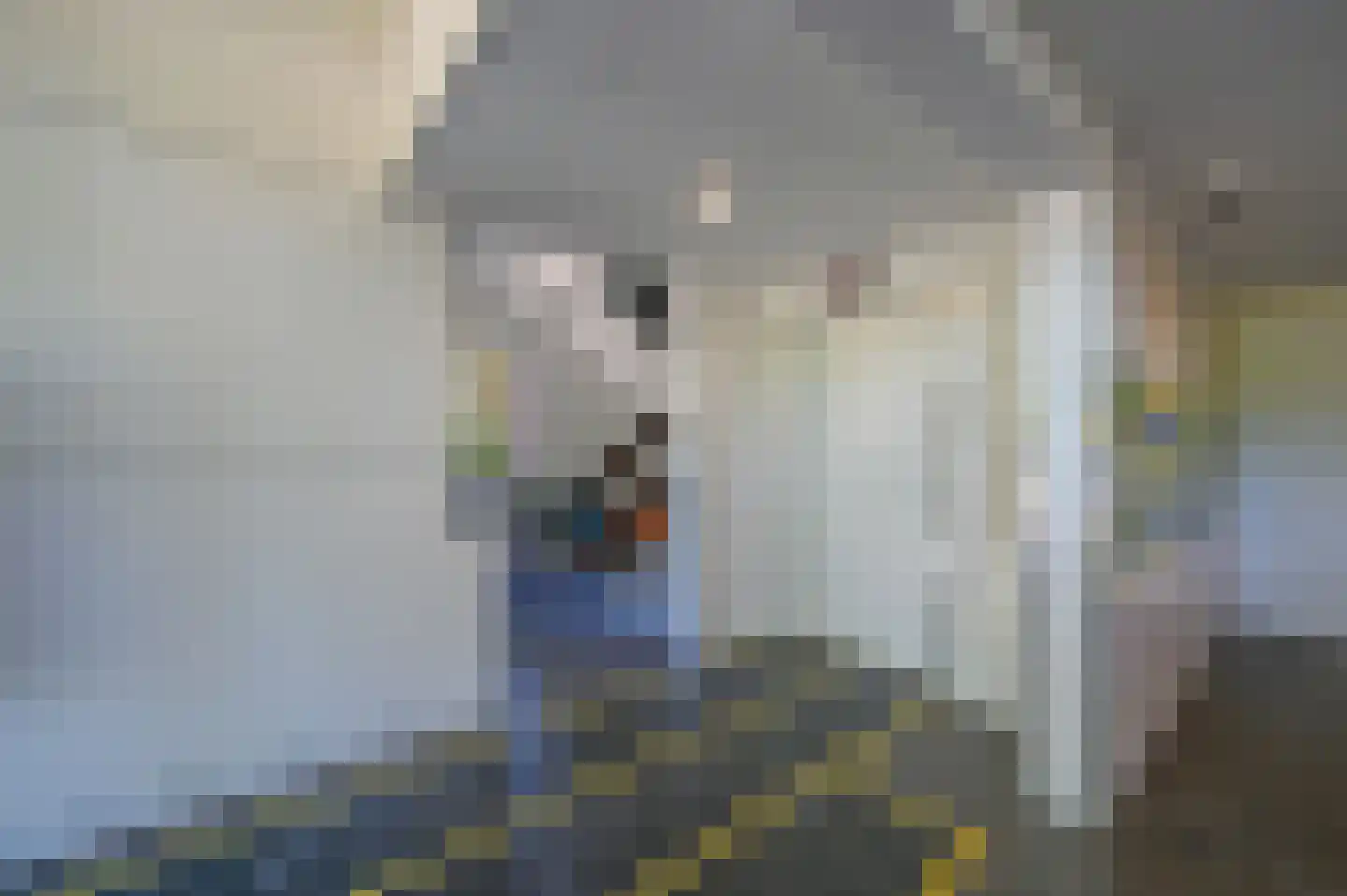 Sint Martinuslaan 172 Voorburg thumbnail 7