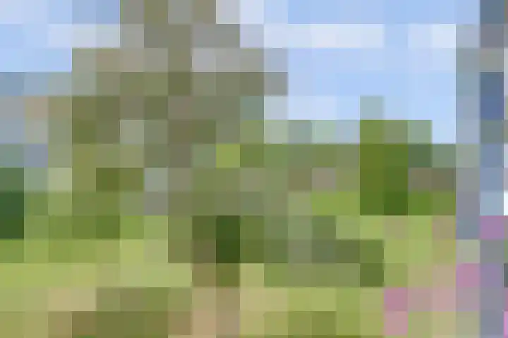 Sint Martinuslaan 27 Voorburg thumbnail 17