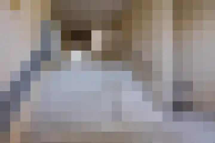 Sint Martinuslaan 53 Voorburg thumbnail 33