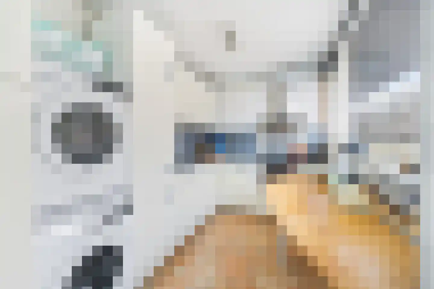 Sint Martinuslaan 9 Voorburg thumbnail 12