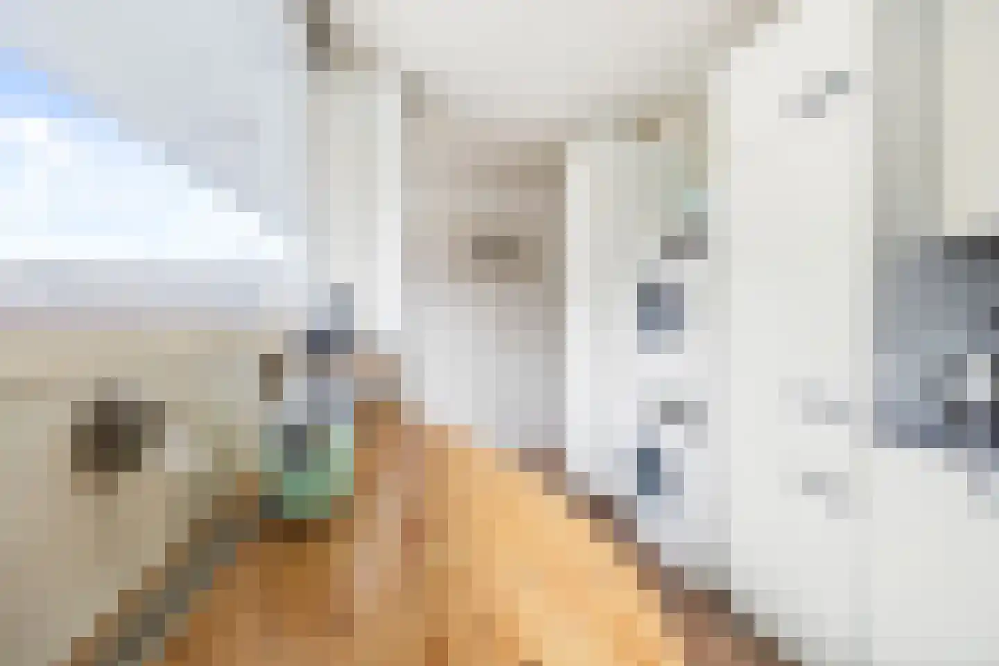 Sint Martinuslaan 9 Voorburg thumbnail 13