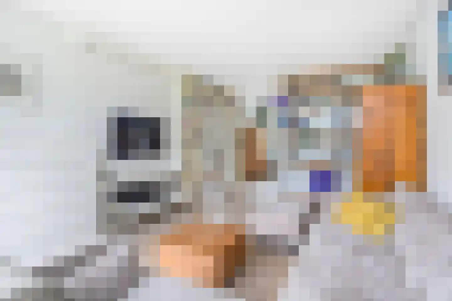 Sint Martinuslaan 9 Voorburg thumbnail 9