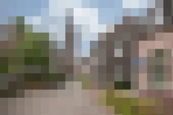 Sint Martinusstraat 19 Tegelen thumbnail 36