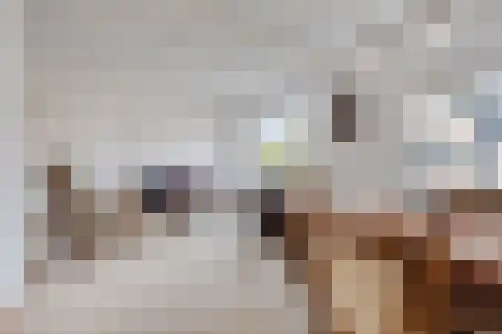 Sint Martinusstraat 25 Beek thumbnail 5