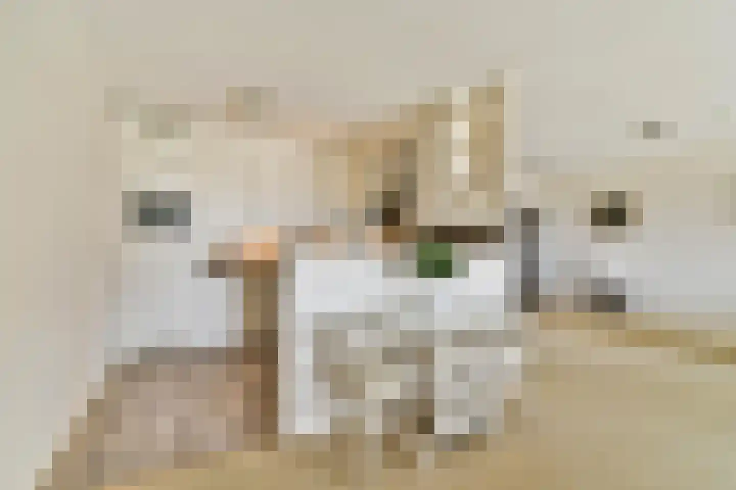 Sint Martinusstraat 25 Naaldwijk thumbnail 8