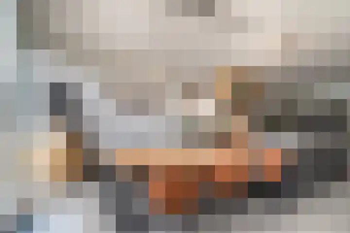 Sint Martinusstraat 3 Linne thumbnail 10