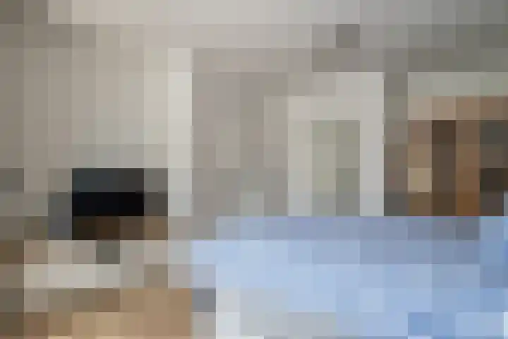 Sint Martinusstraat 3 Linne thumbnail 14
