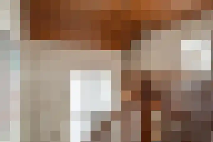 Sint Martinusstraat 3 Linne thumbnail 18