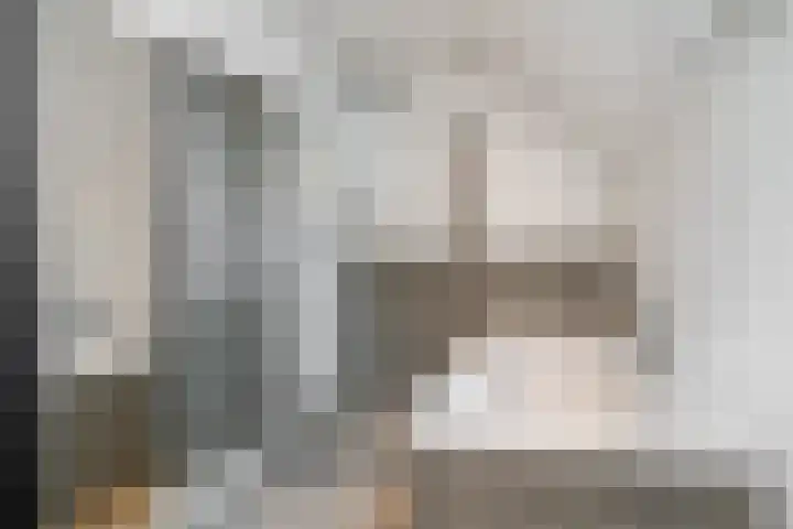 Sint Martinusstraat 3 Linne thumbnail 22