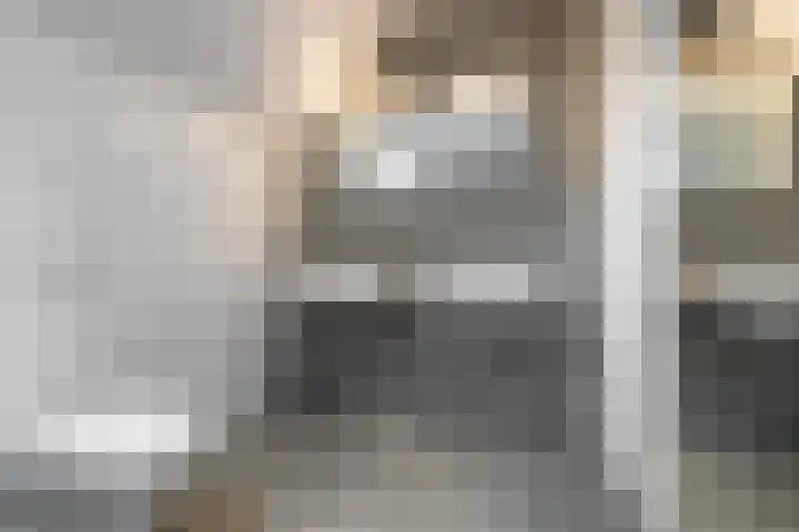Sint Martinusstraat 3 Linne thumbnail 23