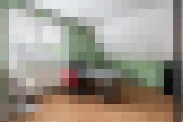 Sint Martinusstraat 3 Linne thumbnail 26