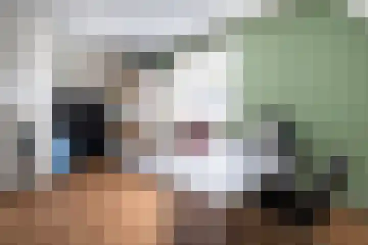Sint Martinusstraat 3 Linne thumbnail 27