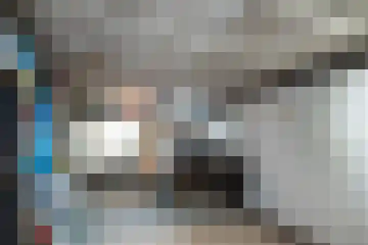 Sint Martinusstraat 3 Linne thumbnail 28