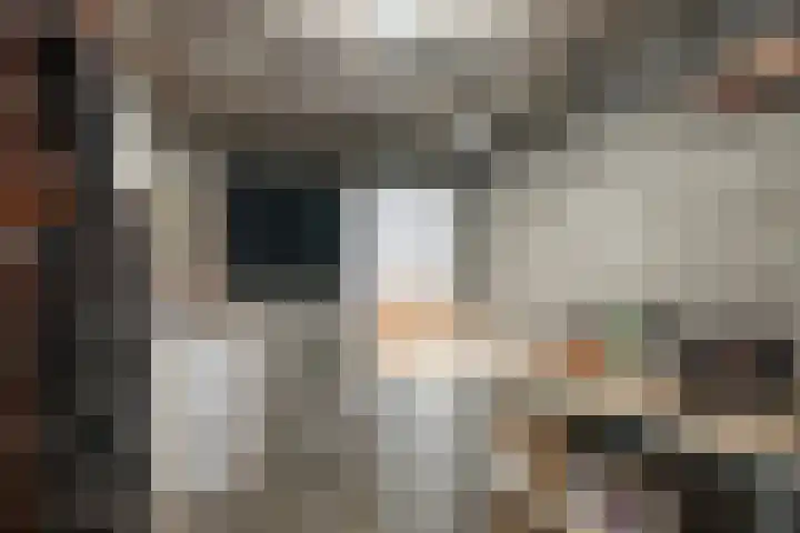 Sint Martinusstraat 3 Linne thumbnail 29