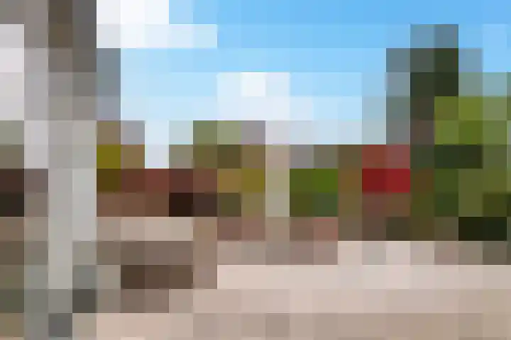 Sint Martinusstraat 3 Linne thumbnail 30