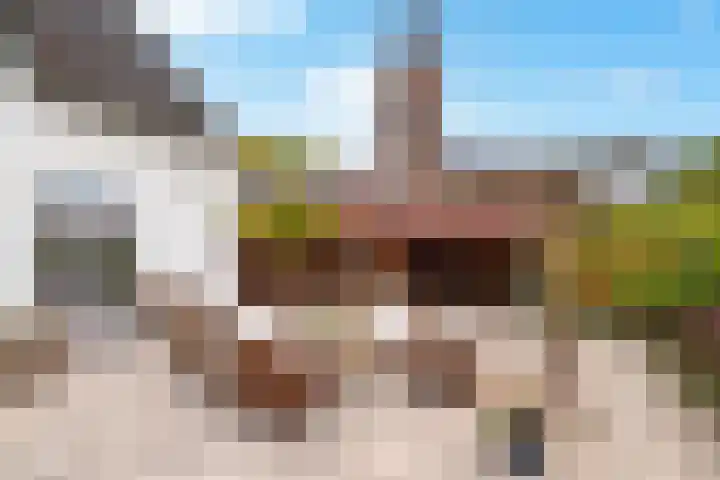 Sint Martinusstraat 3 Linne thumbnail 31