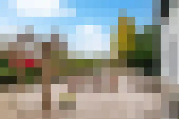 Sint Martinusstraat 3 Linne thumbnail 32