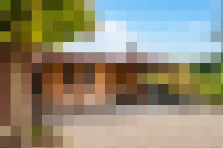 Sint Martinusstraat 3 Linne thumbnail 33