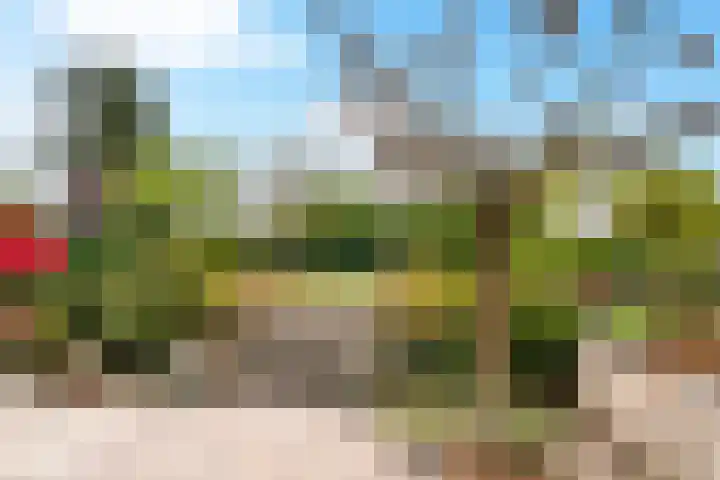 Sint Martinusstraat 3 Linne thumbnail 34