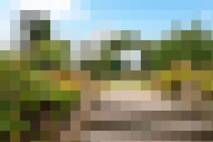 Sint Martinusstraat 3 Linne thumbnail 35