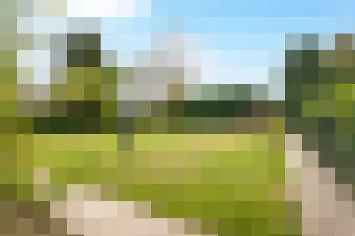 Sint Martinusstraat 3 Linne thumbnail 36