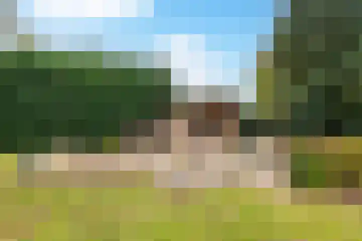 Sint Martinusstraat 3 Linne thumbnail 37