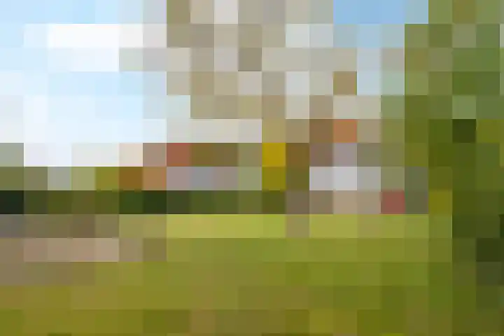 Sint Martinusstraat 3 Linne thumbnail 38