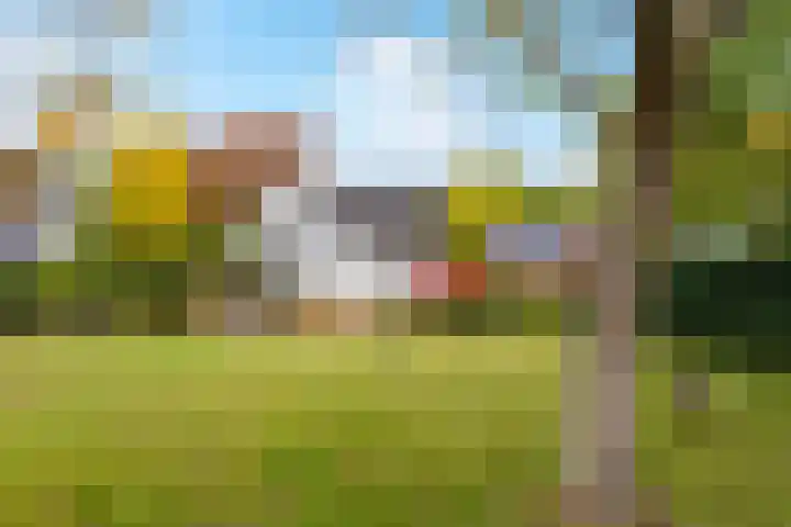 Sint Martinusstraat 3 Linne thumbnail 39